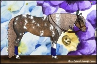 Horse Color:White Spotted Chocolate Palomino Tobiano 