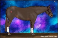 Horse Color:Liver Chestnut  and Liver Chestnut 