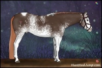 Horse Color:White Spotted Liver Chestnut Tobiano 