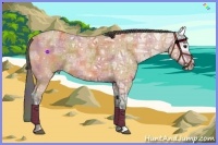 Horse Color:Nacre Bay Ice Roan 