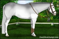 Horse Color:Silver Brown Chinchilla Sabino Splash