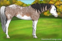 Horse Color:Bay Ice Roan Splash Snowcap 