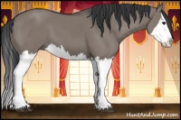 Horse Color:Grullo Sabino Splash