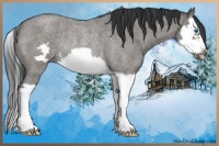 Horse Color:Grullo Roan Splash Frame Rabicano 