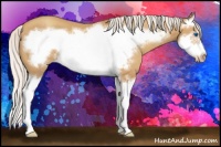 Horse Color:Silver Classic Champagne Splash Frame 
