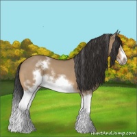 Horse Color:White Spotted Bay Roan Dun Splash Frame 