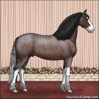 Horse Color:Bay Roan Sabino Splash