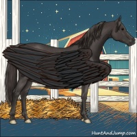 Horse Color:Smoky Blue Roan 
