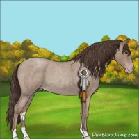 Horse Color:Classic Champagne Roan 