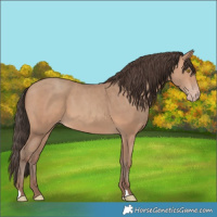 Horse Color:Sable Champagne 