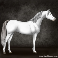 Horse Color:Liver Red Dun Varnish 