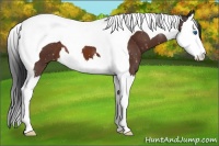 Horse Color:Brown Splash Tobiano 