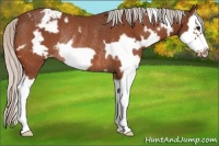 Horse Color:White Spotted Silver Bay Splash Frame Varnish Rabicano 