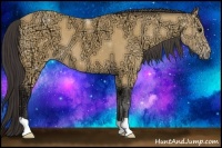 Horse Color:Buckskin Ice 