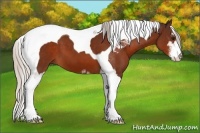 Horse Color:Silver Brown Sabino Tobiano 