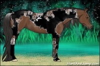 Horse Color:Bay Tobiano 