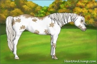 Horse Color:Silver Smoky Black Splash Frame 