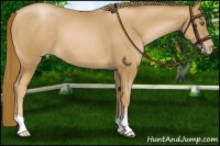 Horse Color:Chestnut Pearl 