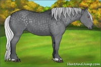 Horse Color:Silver Black Chinchilla 