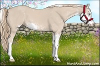 Horse Color:Smoky Creme Sabino 
