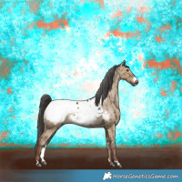Horse Color:Gray Liver Red Dun Sabino Snowcap Brindle