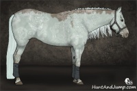 Horse Color:Red Dun Ice 