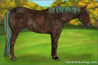 Horse Color:Painted Chestnut Ice