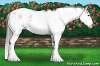 Horse Color:Smoky Black Sabino Appaloosa