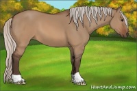 Horse Color:Silver Brown Dun