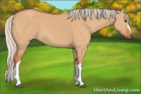 Horse Color:Silver Bay Dun