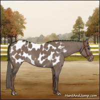 Horse Color:Liver Red Dun Mushroom Blanket Brindle
