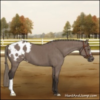 Horse Color:Liver Red Dun Mushroom Varnish Brindle 