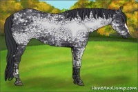 Horse Color:Black Ice 