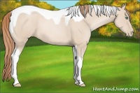 Horse Color:Smoky Black Pearl Tobiano