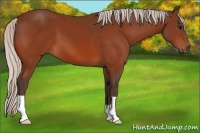 Horse Color:Silver Brown 