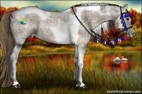 Horse Color:Plaid  Smoky Grullo Ice Tobiano 