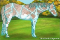 Horse Color:Thunderstruck Chestnut Ice Splash Rabicano 