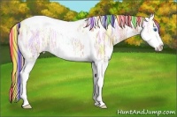 Horse Color:Painted Chestnut Ice Splash Tobiano Rabicano