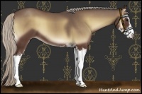 Horse Color:Silver Blue Onyx Sabino