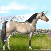 Horse Color:White Spotted Bay Dun 