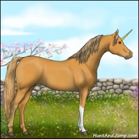Horse Color:Watercolor Red Roan 