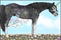 Horse Color:Midnight Black Ice Sabino 