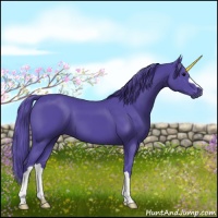 Horse Color:Watercolor Black 