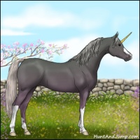 Horse Color:Silver Black 