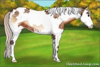 Horse Color:Silver Brown Onyx Splash Tobiano 
