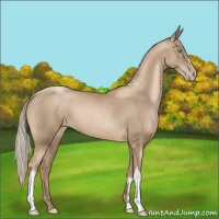 Horse Color:Chocolate Palomino Pearl 