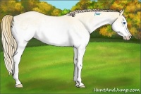 Horse Color:White Spotted Perlino Roan Splash