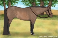 Horse Color:Brown Dun Varnish Brindle