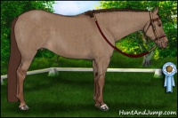 Horse Color:Liver Red Dun Brindle 