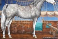 Horse Color:Chocolate Silver Grullo Chinchilla Sabino